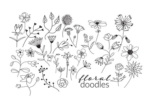 collection of botanical hand drawn doodles. meadow plants and flowers elements. pencil ink sketch of flowers and leaves