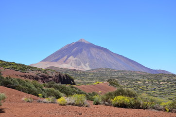Obraz premium Teneriffa 2018
