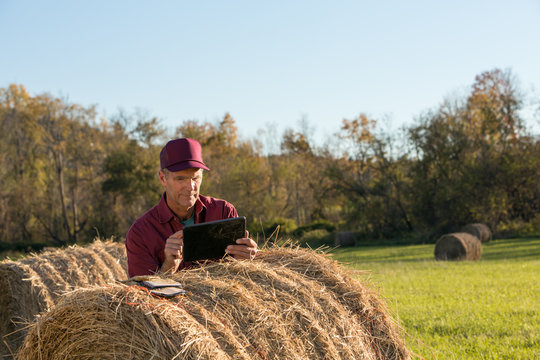 Senior Adult Male Farmer Using Technology On Farm