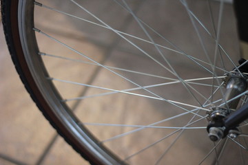 Bicycle Spokes