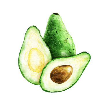 Hand drawn watercolor avocado composition isolated on white background. Delicious food illustration.