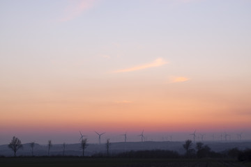 Windräder am Abendhimmel