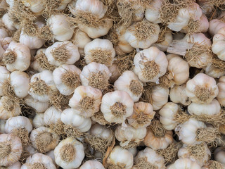 Fototapeta na wymiar dried garlic in the bazaar