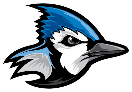 Blue Jay Cartoon Images – Browse 1,384 Stock Photos, Vectors, and Video