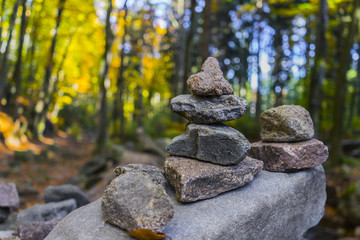 rocas 