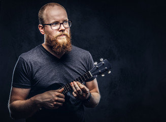 Redhead bearded male musician wearing glasses dressed in a gray t-shirt playing on a ukulele. Isolated on a dark textured background.