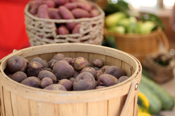 Various kinds of potatoes at the farmer's market.
