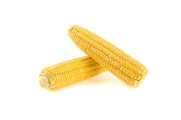 corn on a white background