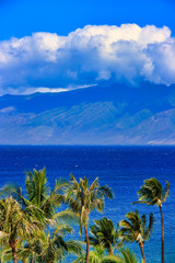 View of The Mountain through The Palms and Ocean