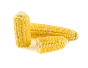 corn on a white background