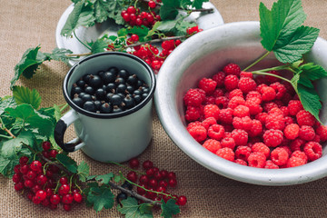 Rustic still life of ripe red and black currants, raspberries with leaves in a rustic plate and mug on the background of sacks, healthy food and vitamins. Mixed summer berries.