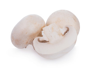 Fototapeta na wymiar white Mushroom champignon isolated on white background