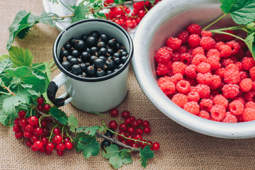 Rustic still life of ripe red and black currants, raspberries with leaves in a rustic plate and mug on the background of sacks, healthy food and vitamins. Mixed summer berries.