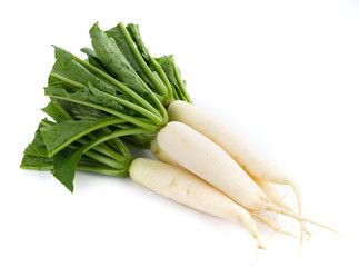 fresh white radish isolated on white background