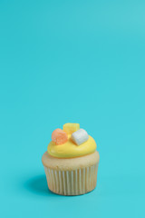 Birthday Cake On Color For The Background