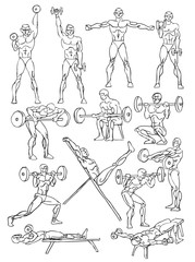Graphic sketch of strength exercises with dumbbells and a barbell
