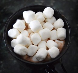 Fluffy Marshmellows in A Hot Cup of Hot Chocolate 