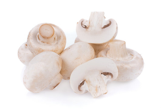 white Mushroom champignon isolated on white background