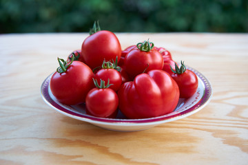 Closeup Picture of the organic fresh riped red heirloom and classic tomatoes in ceramic bowl, just after harvest on the wooden garden table with soft focus background.    