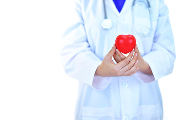 Cardiologist holding heart in hand, heart care concept, white background

