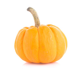 Pumpkin on white background