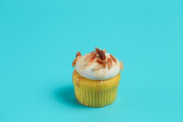 Birthday Cake On Color For The Background