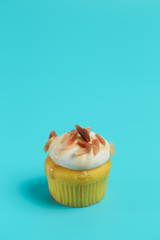 Birthday Cake On Color For The Background