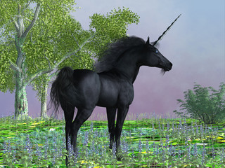 Black Beauty Unicorn - Purple flowers surround a beautiful black satin unicorn with a forehead horn and cloven hooves. © Catmando