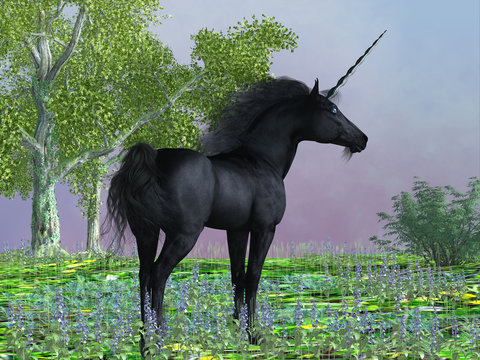 Black Beauty Unicorn - Purple flowers surround a beautiful black satin unicorn with a forehead horn and cloven hooves.