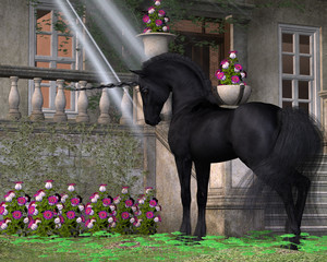 Enchanted Dark Unicorn - A black-coated magical unicorn takes an interest in pink Bell flowers near a forest cottage. © Catmando