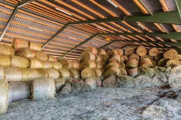 viele Strohballen und Heuballen liegen trocken unter einem Dach