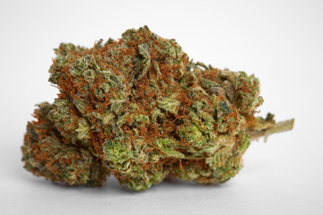 Close up of legal prescription and recreational medical marijuana indica flower bud isolated on white background