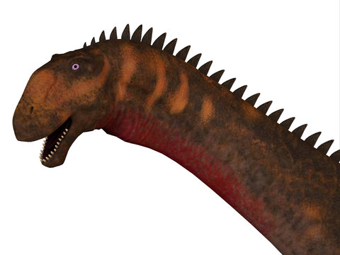 Mierasaurus Dinosaur Head - Mierasaurus was a herbivorous sauropod dinosaur that lived in Utah, USA during the Cretaceous Period.
