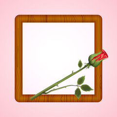 rose on a wooden frame on a light pink background