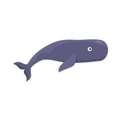 Right whale icon. Flat illustration of right whale vector icon for web isolated on white