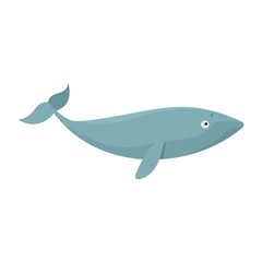 Finback whale icon. Flat illustration of finback whale vector icon for web isolated on white