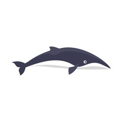 Minke whale icon. Flat illustration of minke whale vector icon for web isolated on white