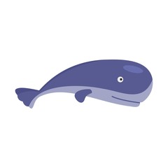 Ocean whale icon. Flat illustration of ocean whale vector icon for web isolated on white
