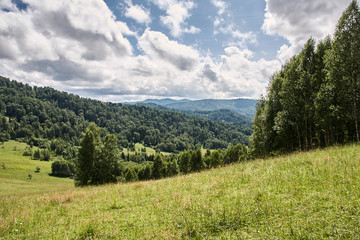 Fototapeta na wymiar Landscape with forest mountains.