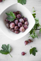 Gooseberry