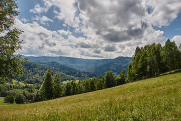 Landscape with forest mountains.