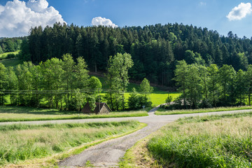 Street junction in the middle of the black forest nature landscape
