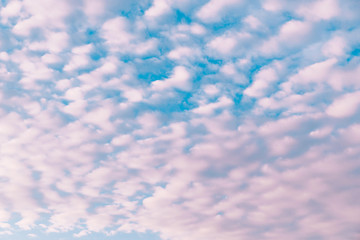 violet clouds on blue sky. background texture.