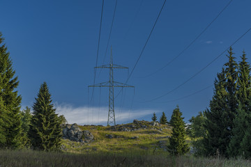 Post pole in Slavkovsky les national park