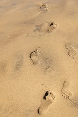 Maspalomas, Canarias islands/ Spain-July 22, 2018: Couple of man and woman walking on Canarias sand from Sahara desert, view of wet foot traces. Blue Atlantic ocean and beach on Gran Canaria.