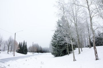 Winter landscape with snow-covered road and frosty trees.
