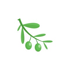 Branch of olives icon. Flat illustration of branch of olives vector icon for web isolated on white