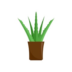 Aloe plant icon. Flat illustration of aloe plant vector icon for web isolated on white