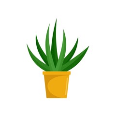 Aloe indoor plant icon. Flat illustration of aloe indoor plant vector icon for web isolated on white