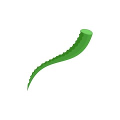 Piece of aloe icon. Flat illustration of piece of aloe vector icon for web isolated on white